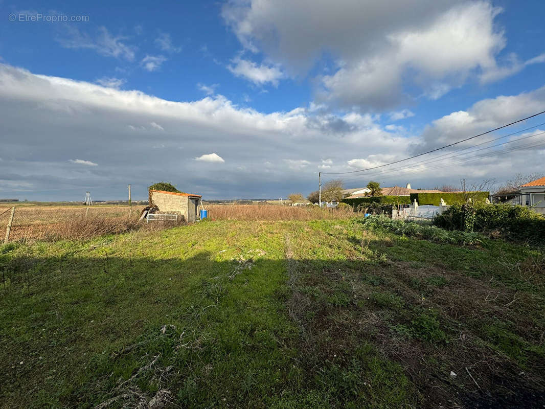 Terrain à SAINT-GEORGES-DE-DIDONNE