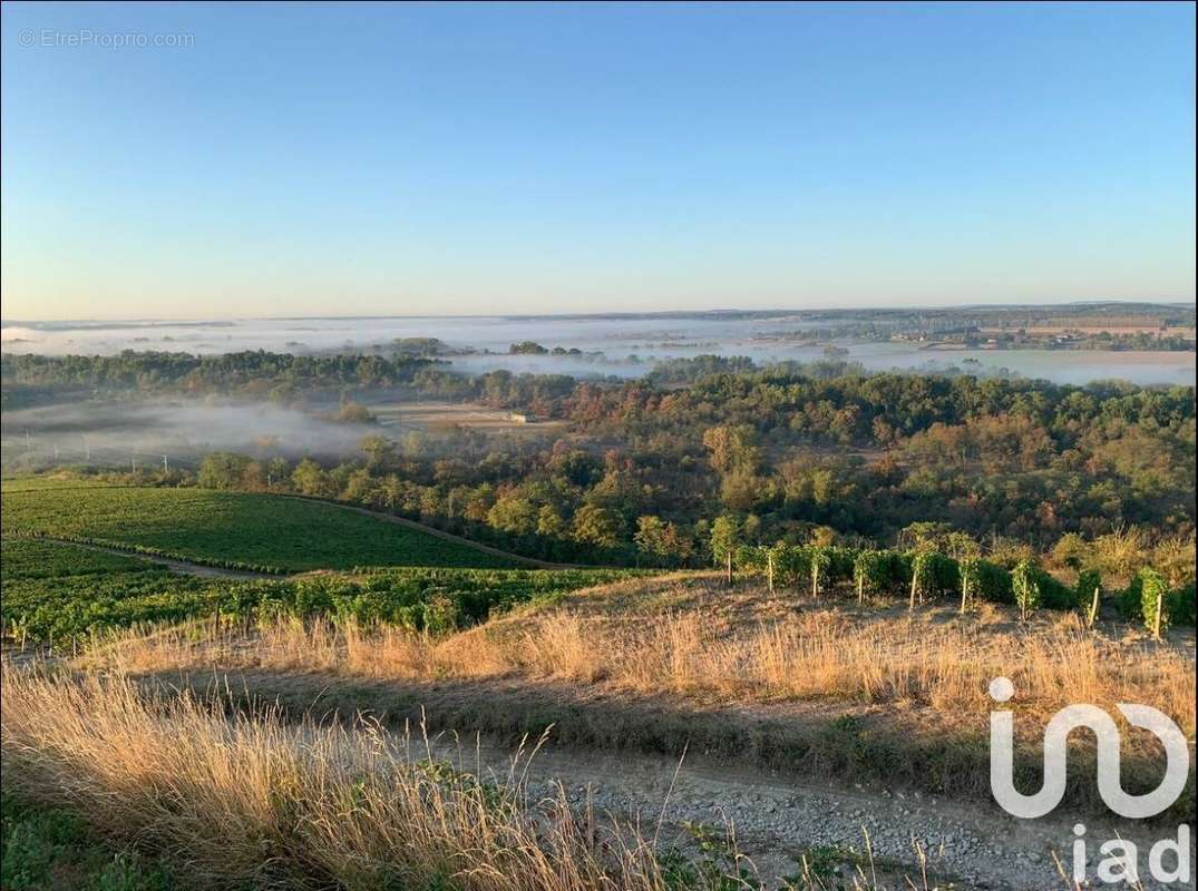 Photo 5 - Maison à POUILLY-SUR-LOIRE