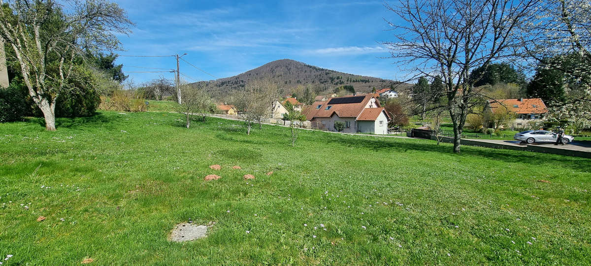 Terrain à PETITMAGNY