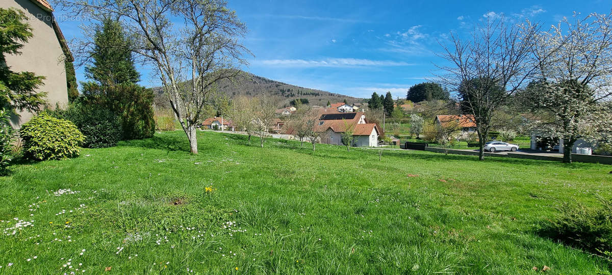 Terrain à PETITMAGNY