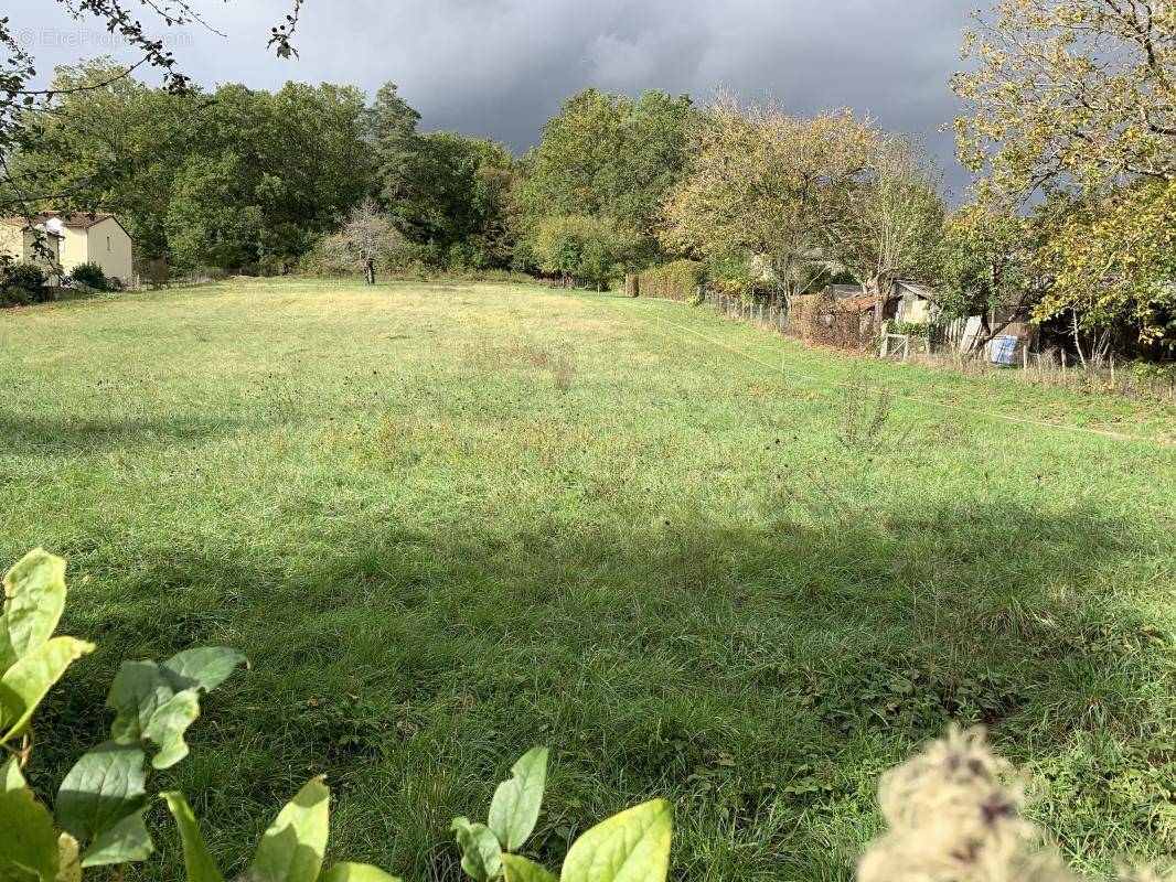 Terrain à SARLIAC-SUR-L&#039;ISLE