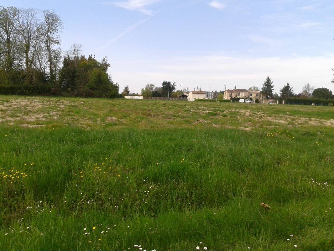 Terrain à VILLEMUR-SUR-TARN