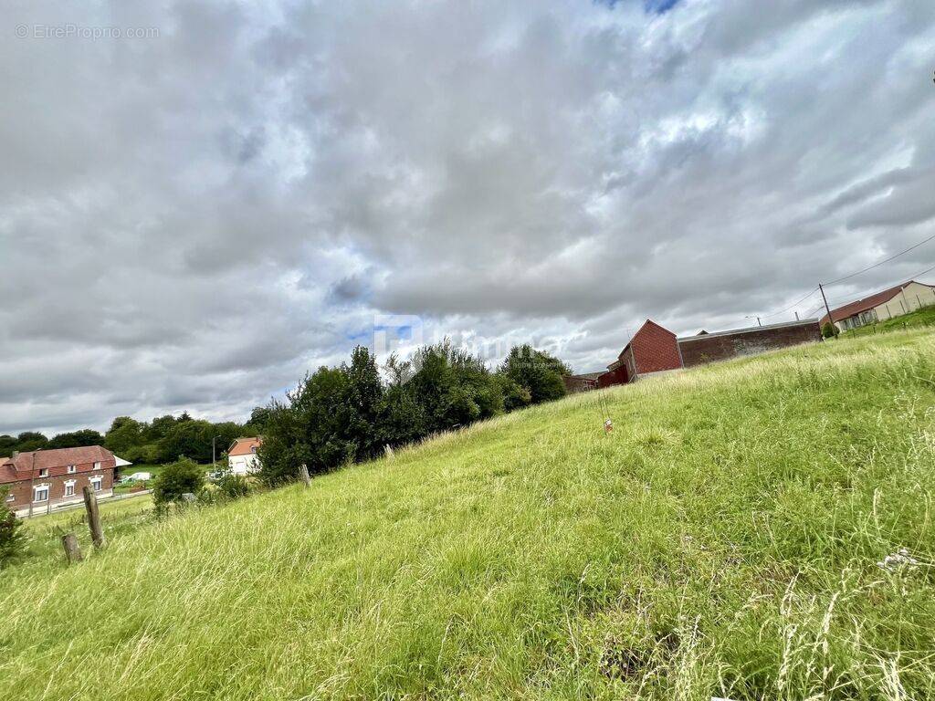 Terrain à PUISIEUX