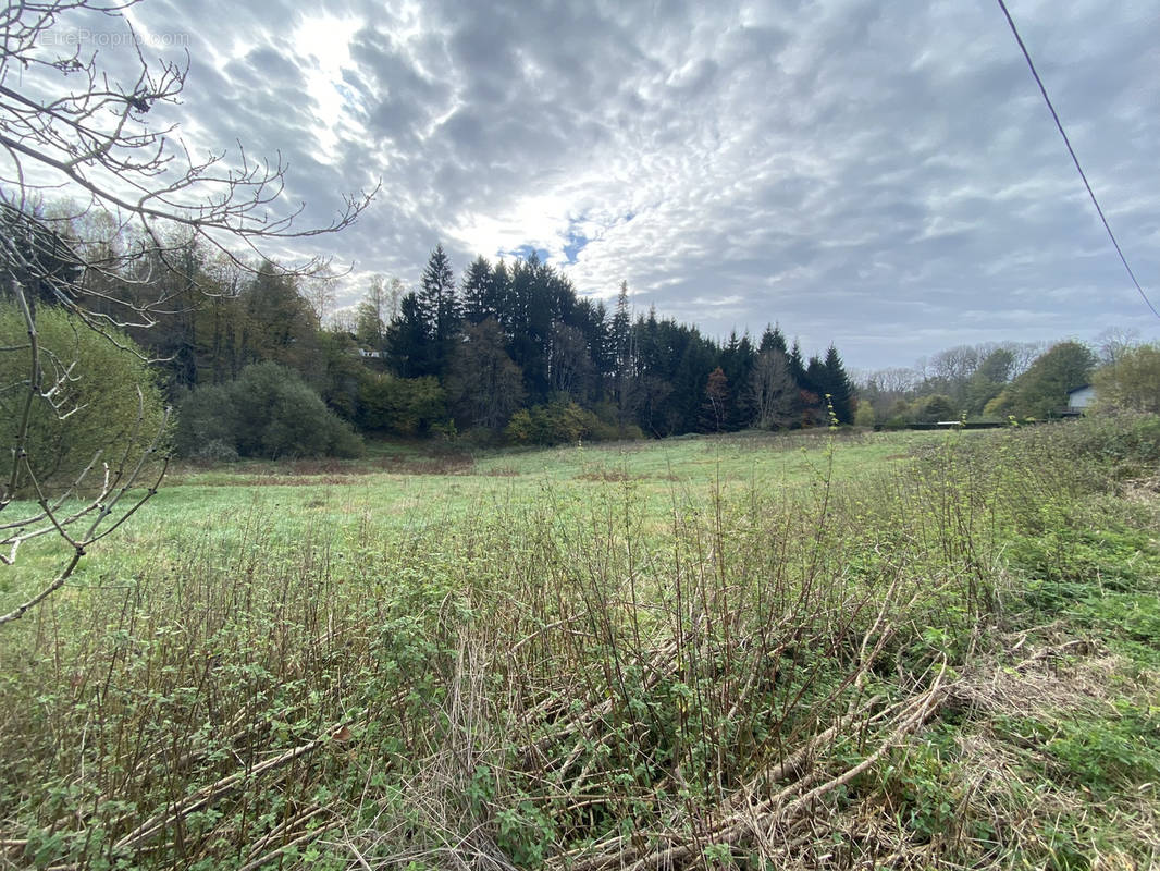 Terrain à TAUVES