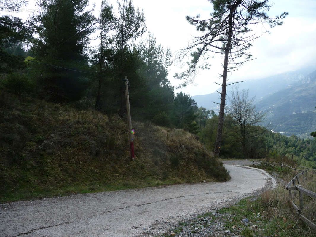 Terrain à CASTELLAR