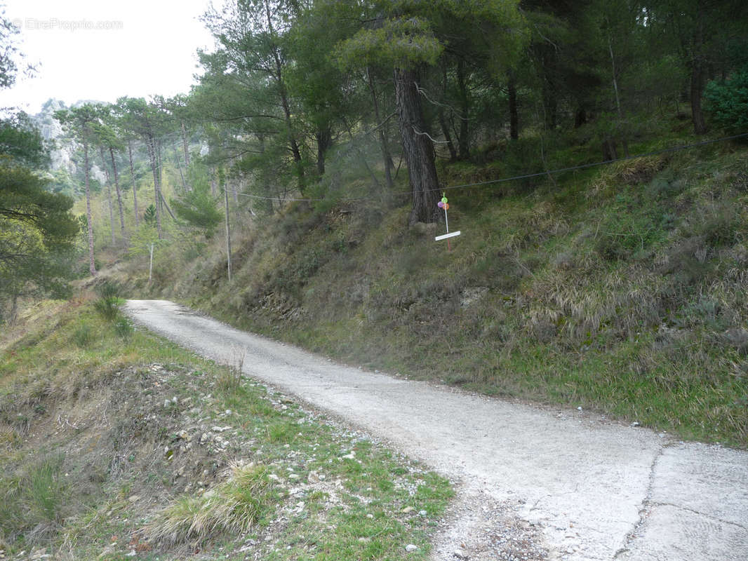 Terrain à CASTELLAR