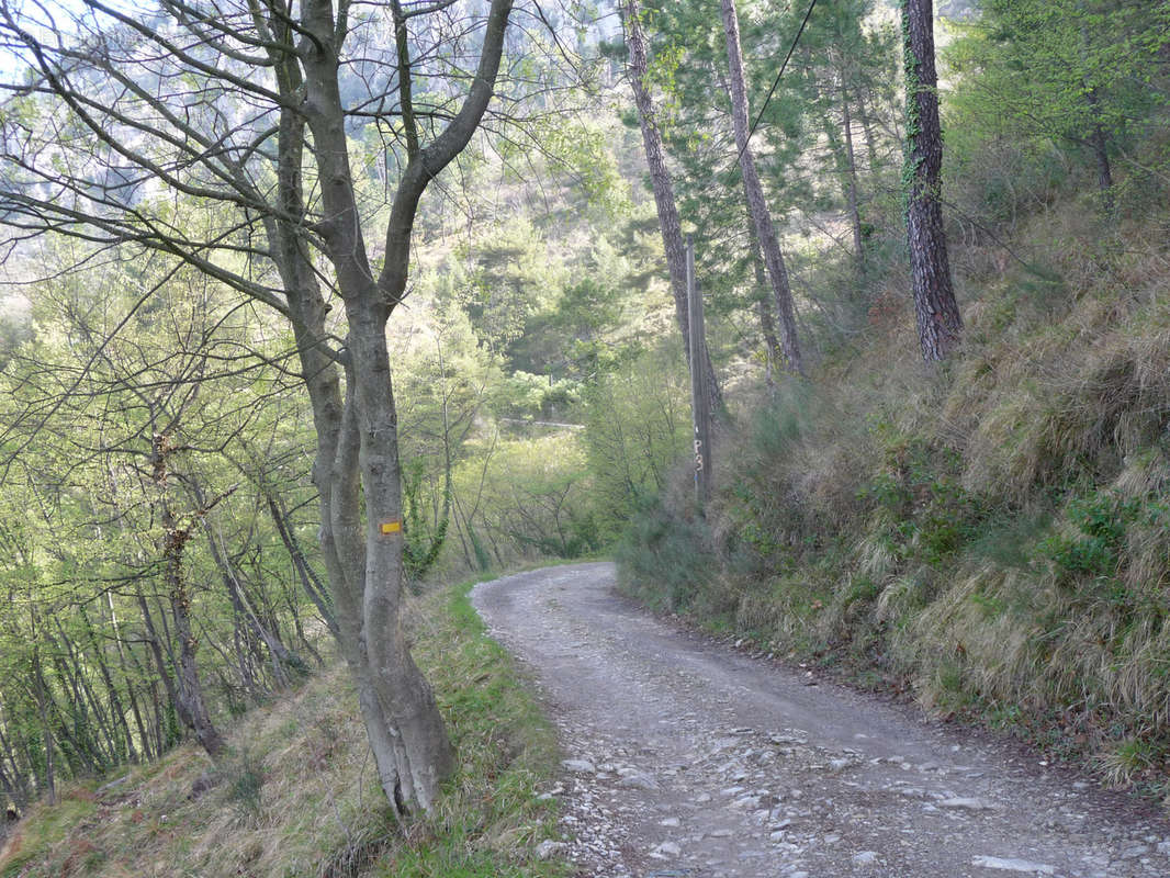 Terrain à CASTELLAR