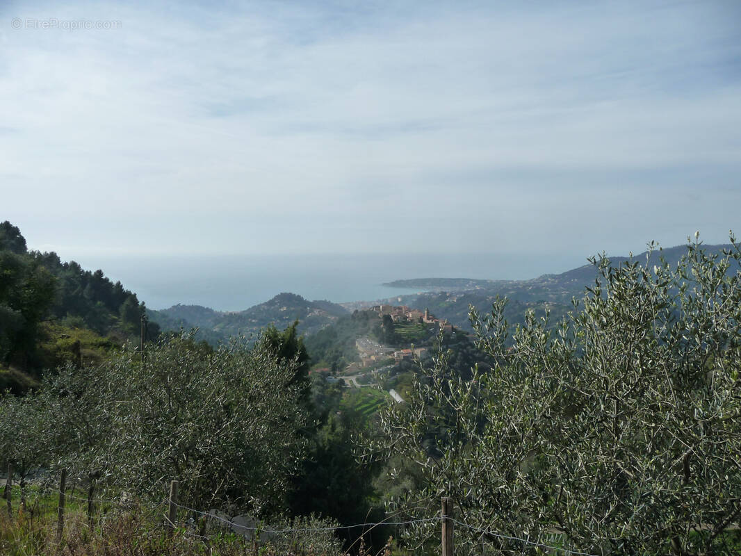 Terrain à CASTELLAR