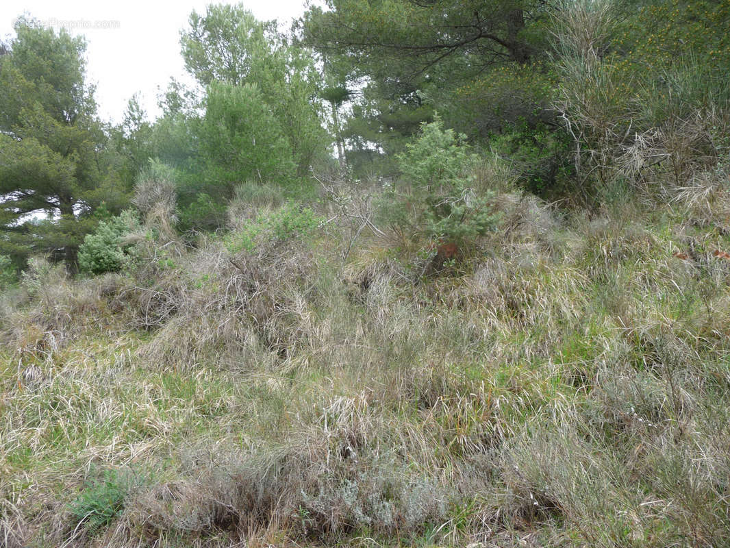 Terrain à CASTELLAR