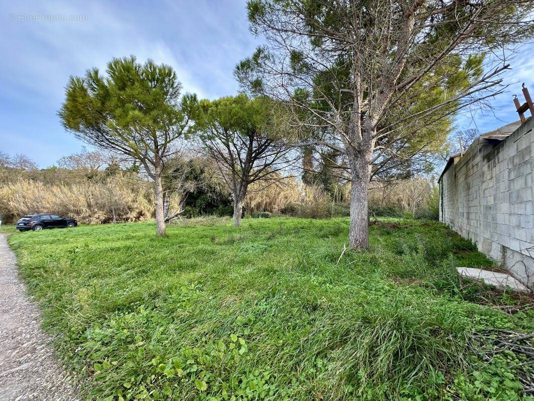 Terrain à MARIGNANE