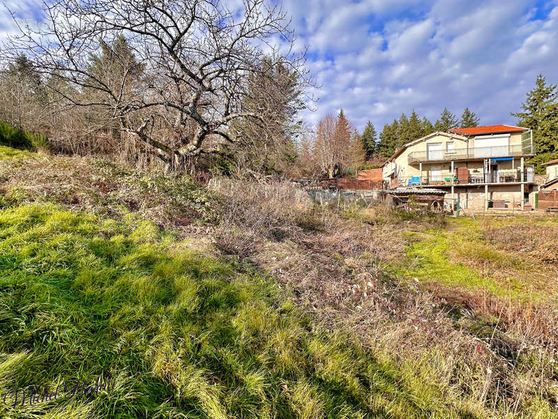 Appartement à POLLIONNAY