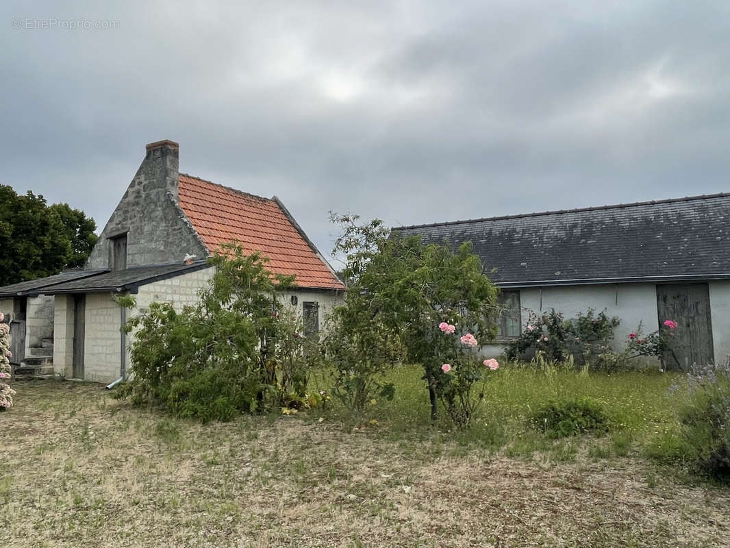 Maison à CHOUZE-SUR-LOIRE