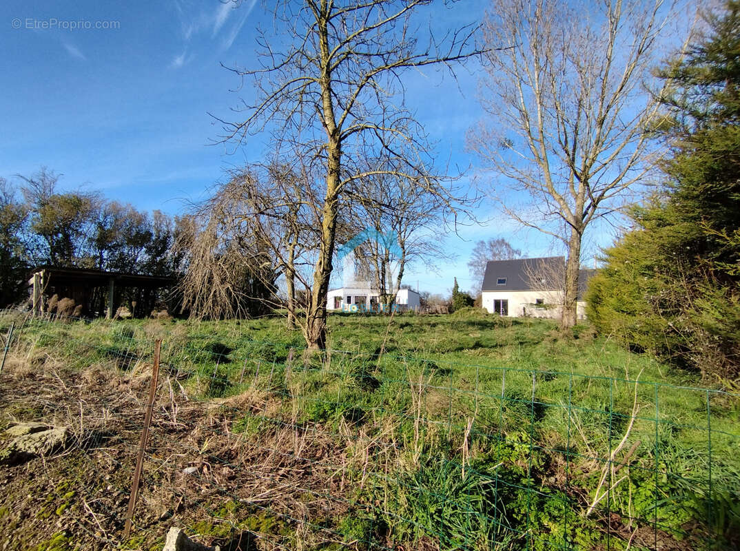 Terrain à COUDEVILLE-SUR-MER