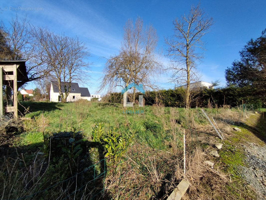 Terrain à COUDEVILLE-SUR-MER