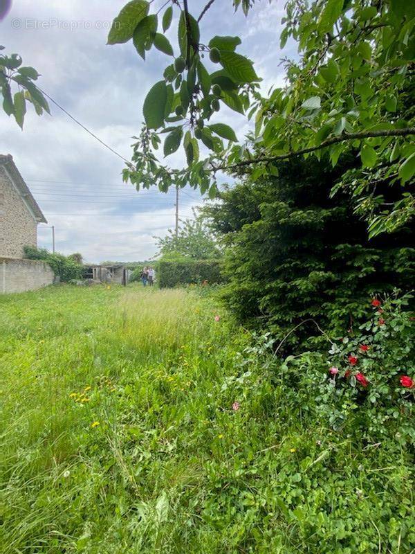 Terrain à VIGNEUX-SUR-SEINE