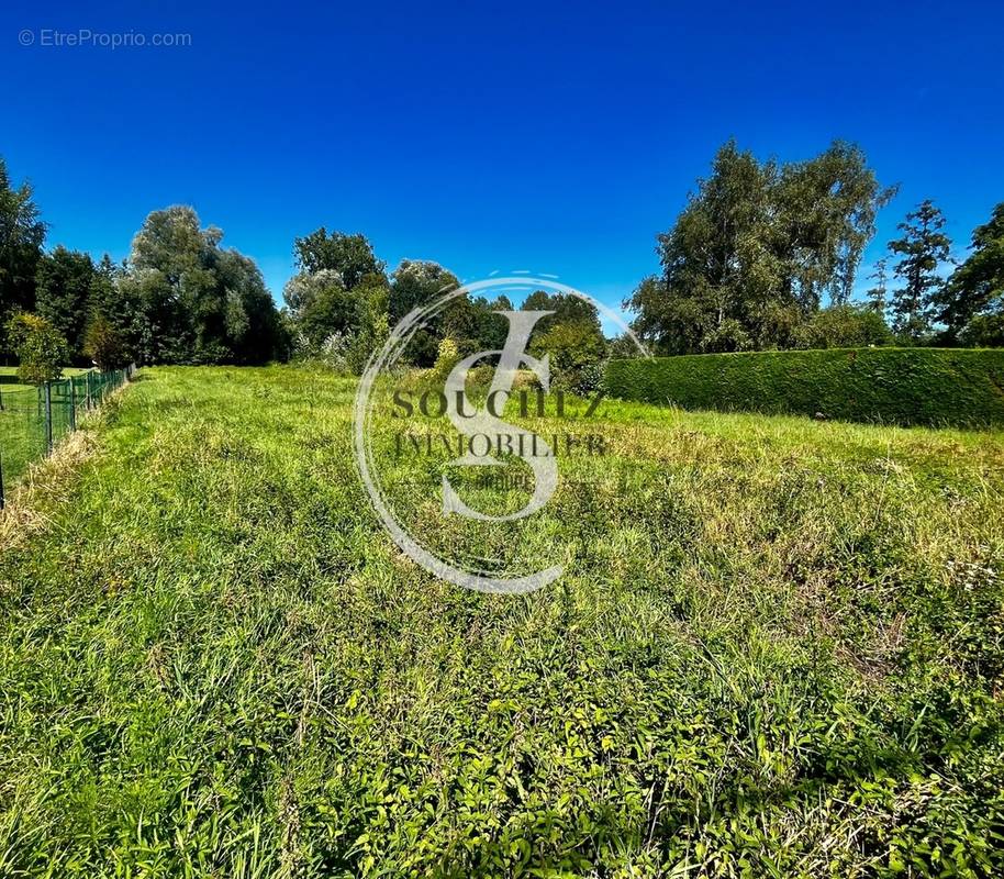 Terrain à SOUCHEZ