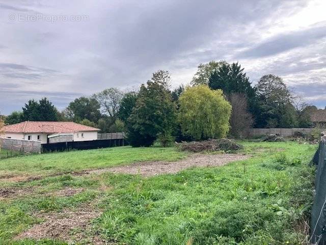 Terrain à PONT-DE-VEYLE