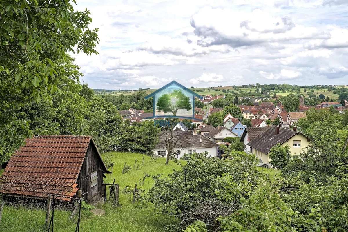 Maison à WOERTH