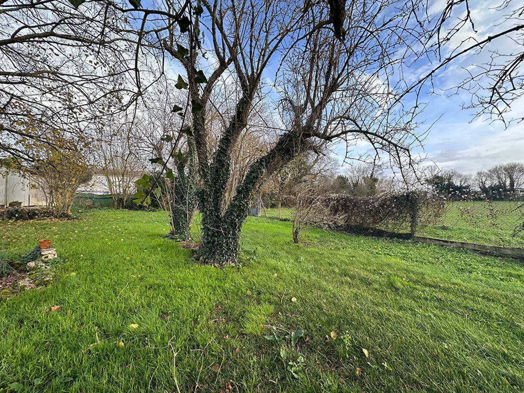 Terrain à SAINT-MEDARD-D&#039;AUNIS