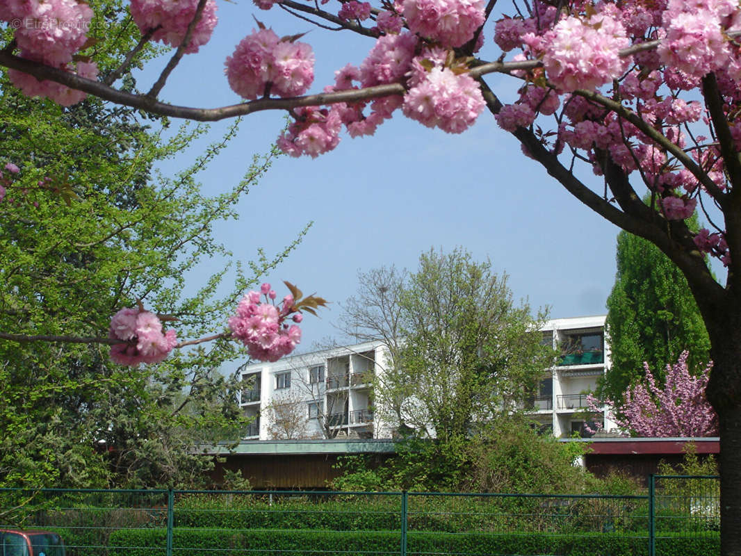 Appartement à FRESNES