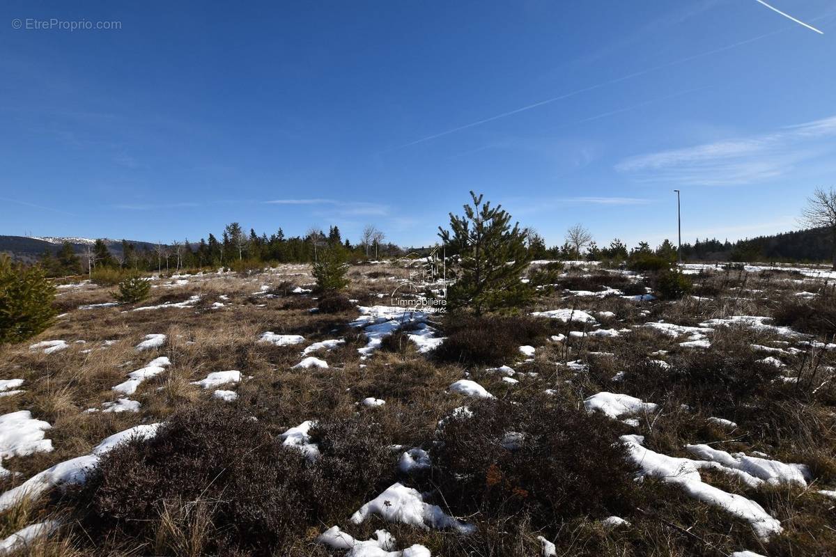 Terrain à VALLERAUGUE