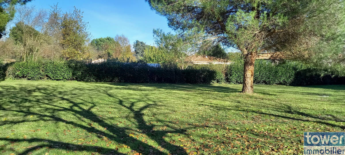 Terrain à LAFITTE-VIGORDANE