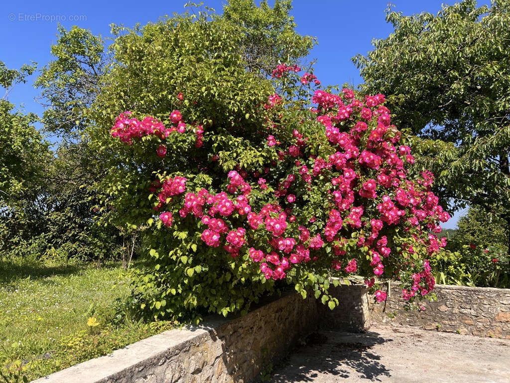 Autre à MONTCOURT-FROMONVILLE