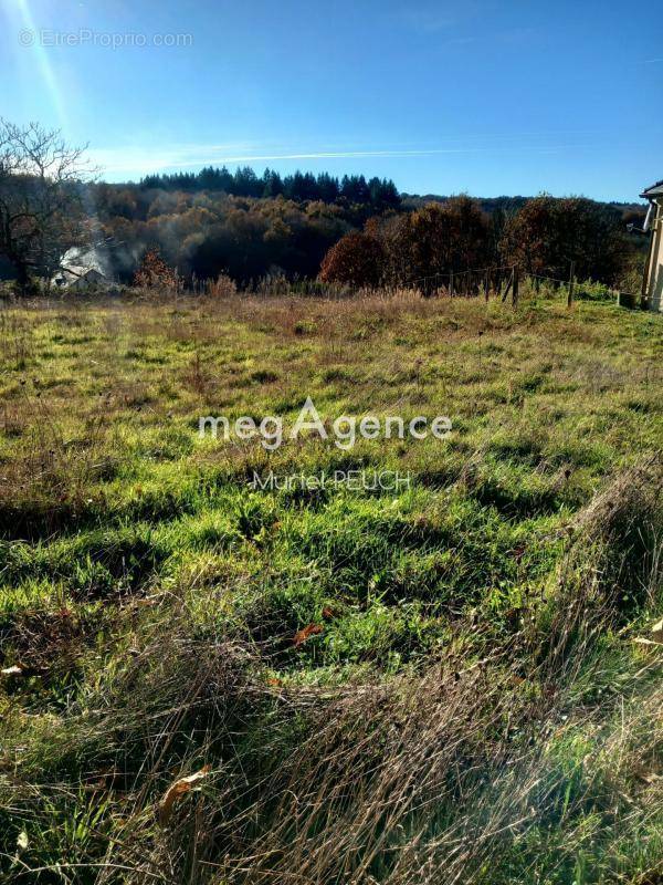 Terrain à LE CHASTANG