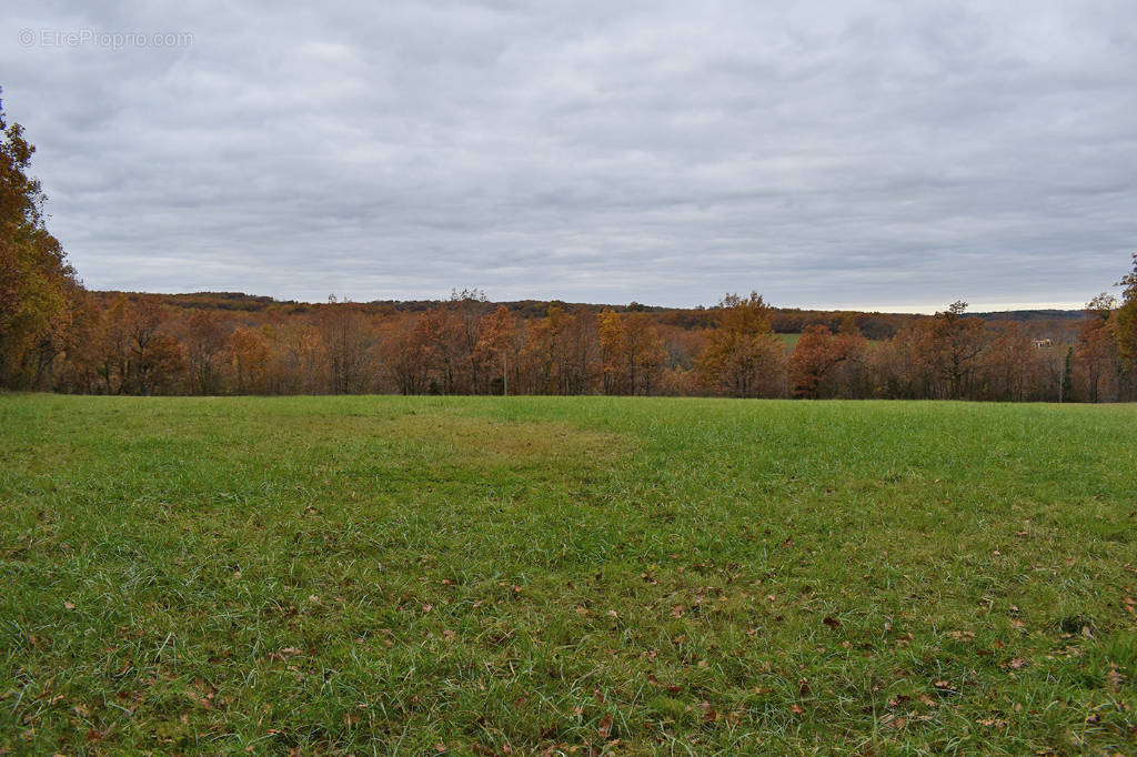 Terrain à LA CASSAGNE