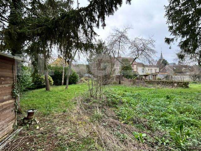 Jardin 1 - Maison à SAINT-SYMPHORIEN-LE-CHATEAU