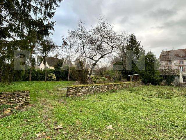 Jardin 2 - Maison à SAINT-SYMPHORIEN-LE-CHATEAU