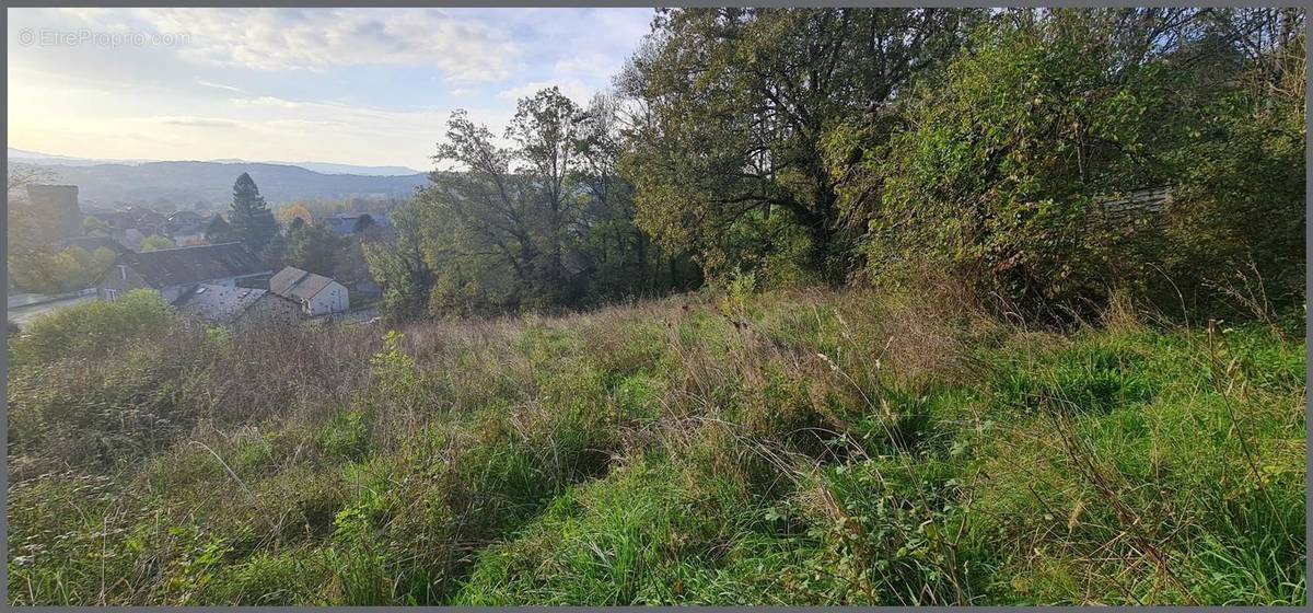 Photo 1 - Terrain à ALLASSAC