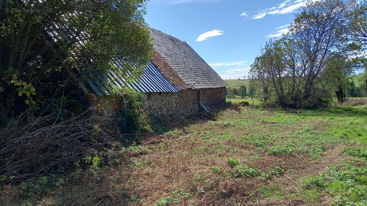 Maison à SAINT-BONNET-DE-SALERS