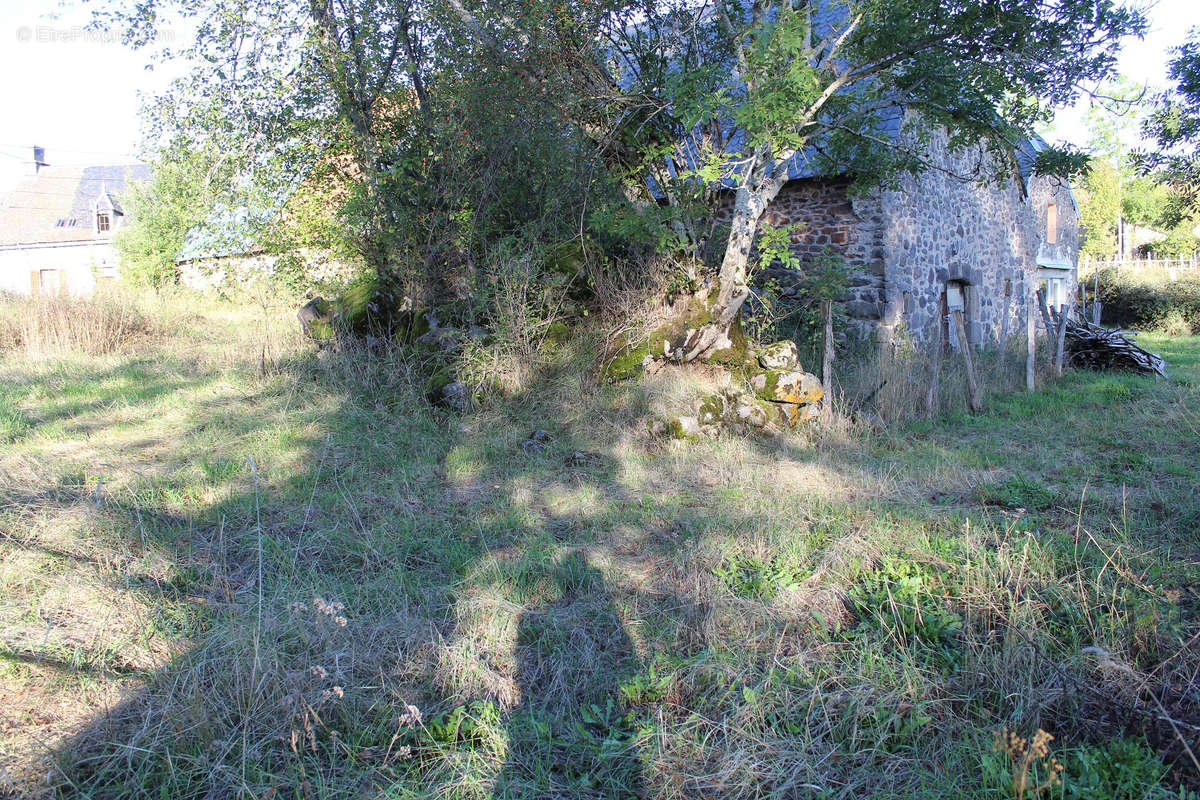 Maison à SAINT-BONNET-DE-SALERS