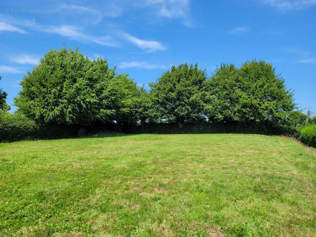 Terrain à AVESNES-SUR-HELPE