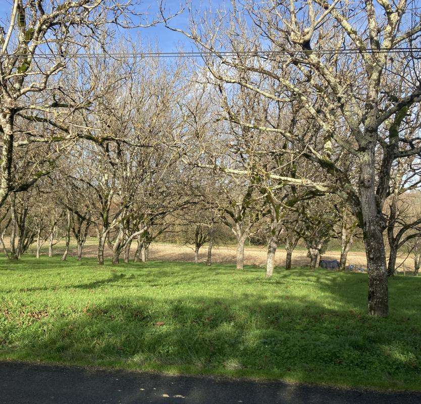 Terrain à LE BUISSON-DE-CADOUIN