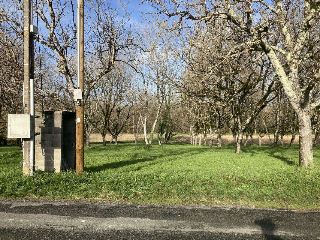 Terrain à LE BUISSON-DE-CADOUIN