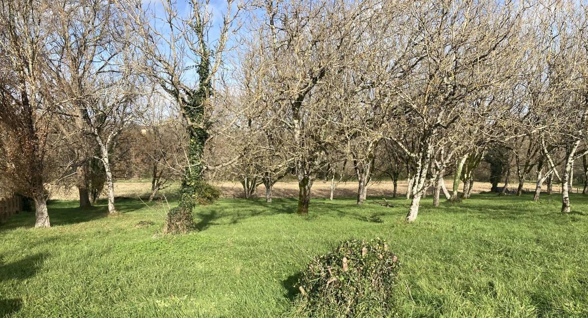 Terrain à LE BUISSON-DE-CADOUIN