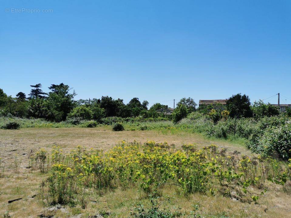 Terrain à LES BILLAUX