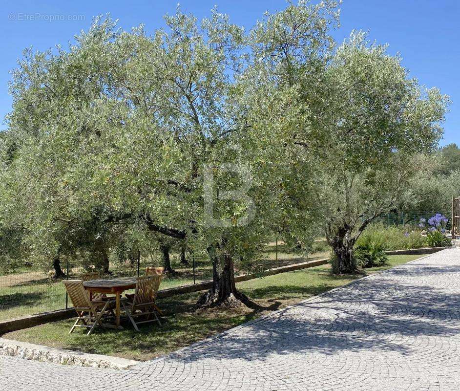 Maison à CHATEAUNEUF-GRASSE