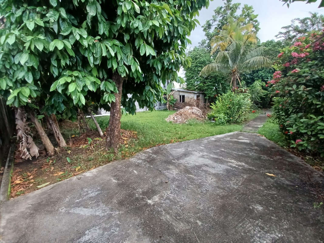 Maison à CAYENNE