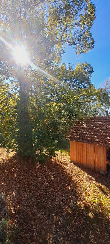 Maison à BRASSY