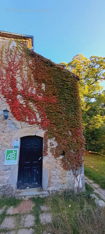 Maison à BRASSY