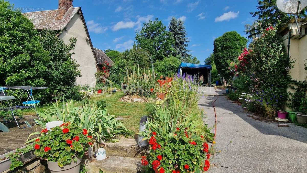 Maison à WAVIGNIES