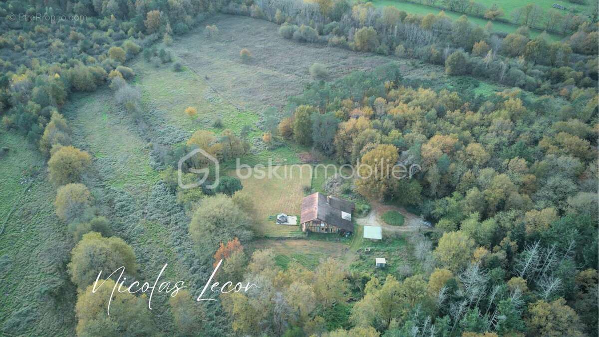 Maison à VIGNOUX-SUR-BARANGEON