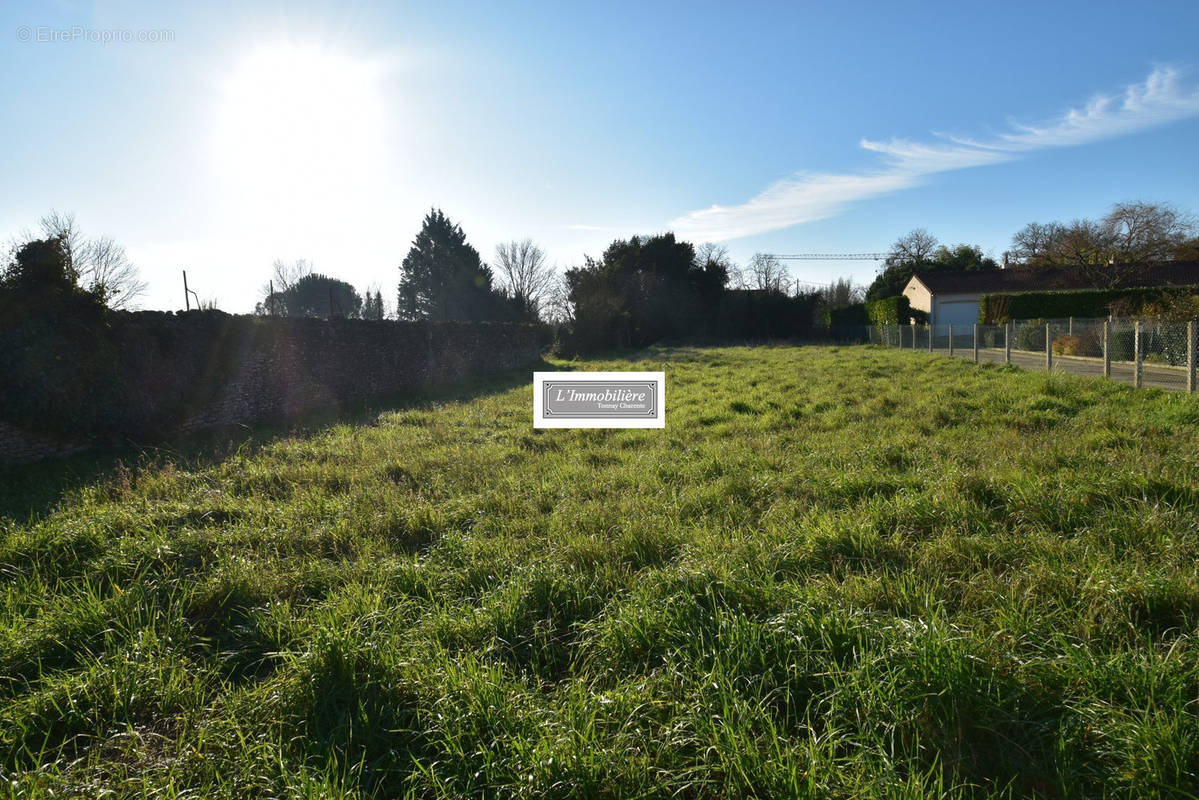 Terrain à TONNAY-CHARENTE