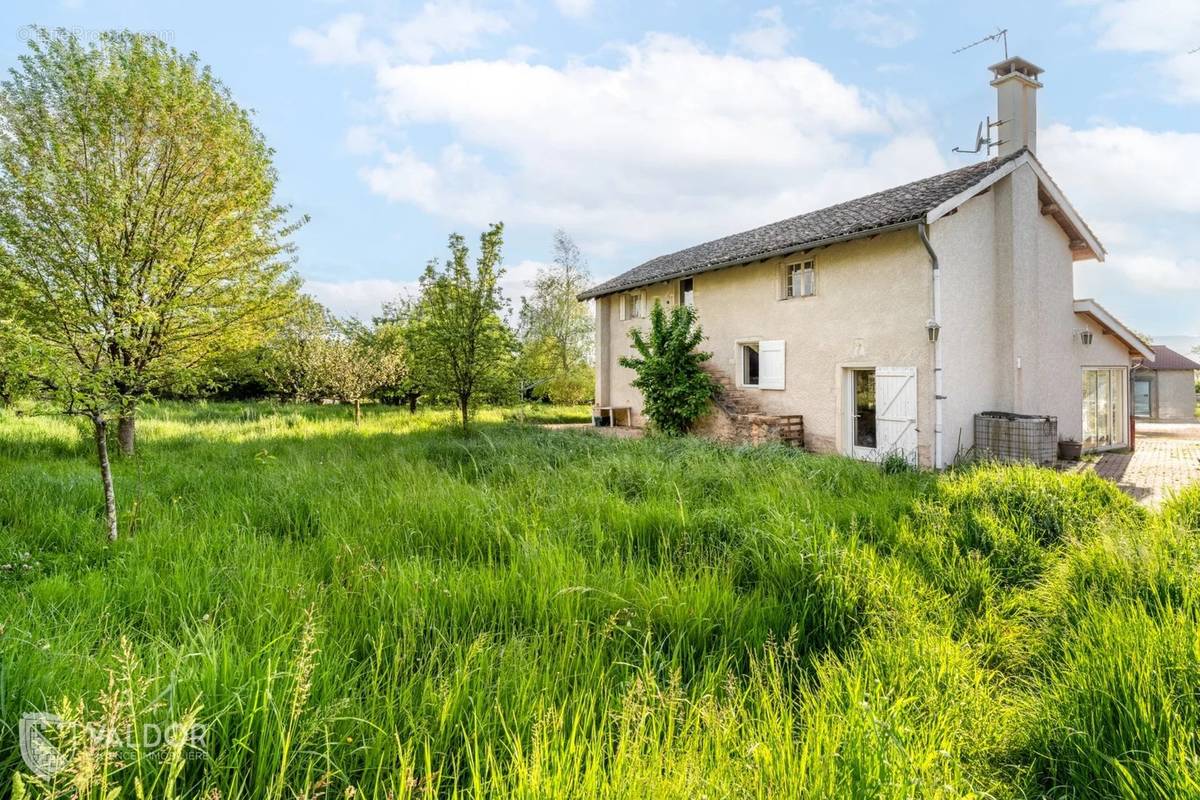 Maison à SAINT-DIDIER-SUR-CHALARONNE