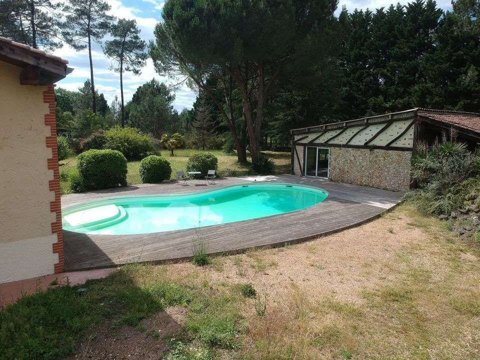 #maison #piscine #gîte #landes #sud-ouest #vente - Maison à GABARRET