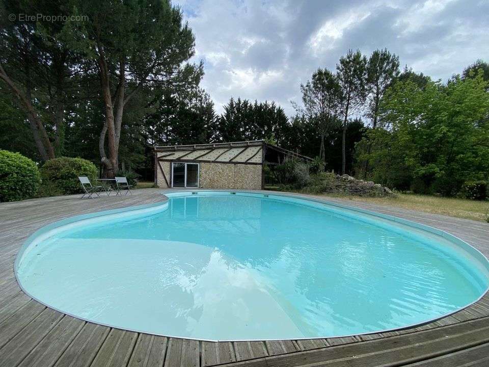 #maison #piscine #gîte #landes #sud-ouest #vente - Maison à GABARRET