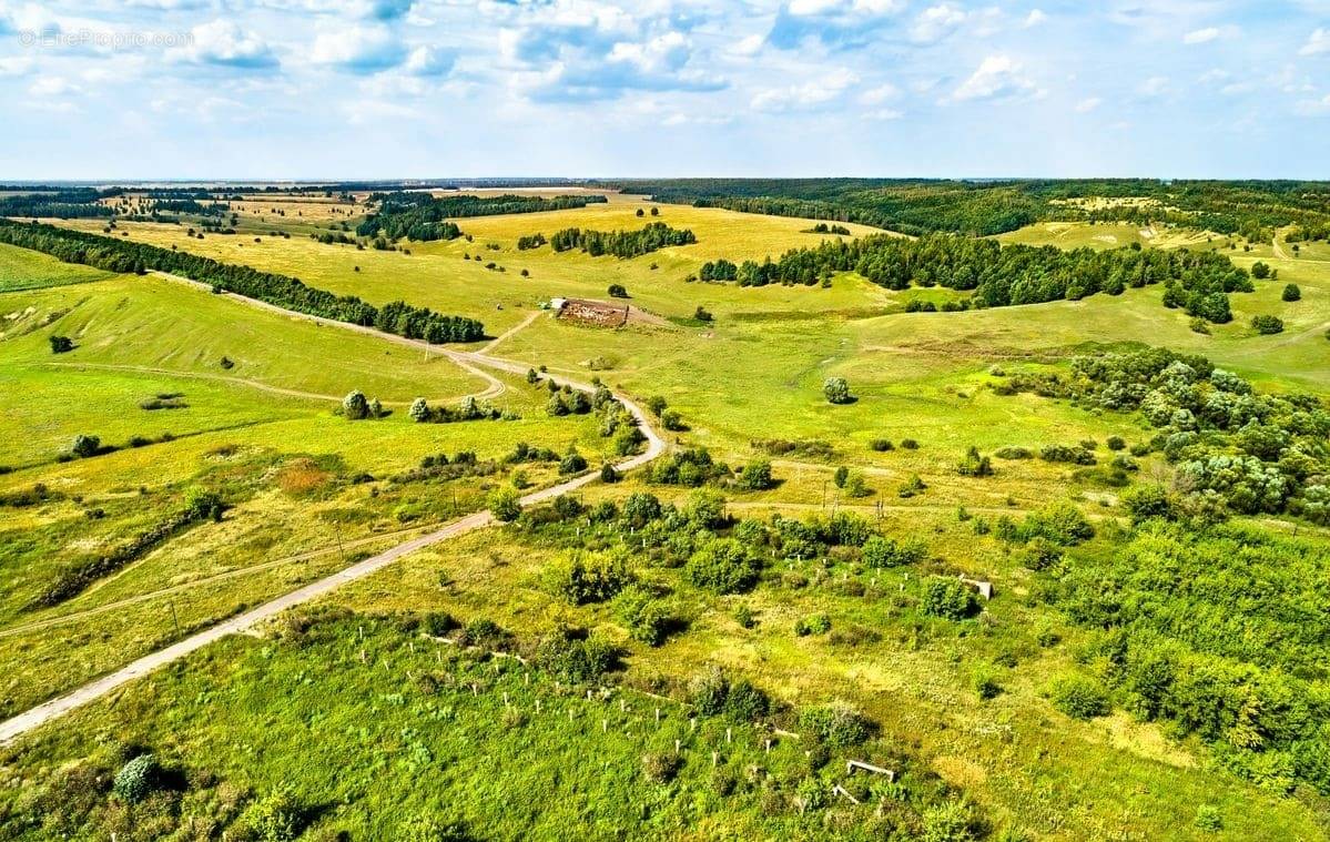 Terrain à BEAUFOU